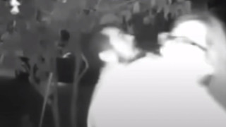 Σοκαριστική απαγωγή τη στιγμή που γυναίκα περίμενε στην πόρτα!