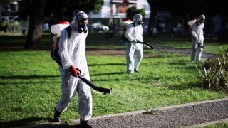 Τι είναι ο Δάγκειος πυρετός: Ποιοι ταξιδιώτες πρέπει να προσέχουν