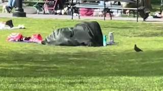 Ασυγκράτητο ζευγάρι στη Νέα Υόρκη έκανε σεξ στη μέση πάρκου