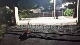 Φθιώτιδα: Σιδερένια πόρτα σχολείου έπεσε και καταπλάκωσε 6χρονο (vid)