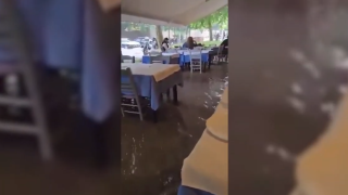 Θεσσαλονίκη: Πλημμύρες και πτώσεις δέντρων μετά τη σφοδρή νεροποντή