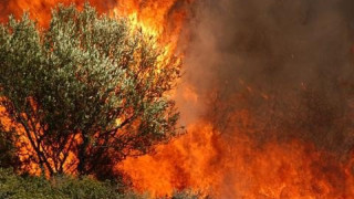 Μεγάλη πυρκαγιά στη Μεσσηνία - Εκκενώθηκαν 4 οικισμοί