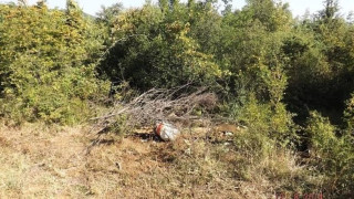 Στη φυλακή τα... πεθερικά της Βέροιας