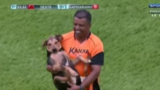 Σκύλος έκανε τη βόλτα του κατά τη διάρκεια αγώνα στη Βραζιλία (VIDEO)