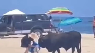 Γυναίκα δέχτηκε επίθεση από ταύρο σε παραλία - Τρομακτικό βίντεο