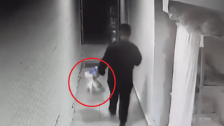 Βραυρώνα: Ζωντανό γεννήθηκε το βρέφος που πέταξαν οι γονείς του στα σκουπίδια