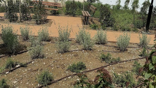 Θεσσαλονίκη: Ποιο είναι το νέο «πάρκο τσέπης»-Πού δημιουργήθηκε