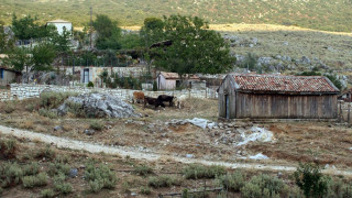 Δολοφονία στο Κιλκίς: Δίωξη για ανθρωποκτονία με δόλο στον 54χρονο κτηνοτρόφο