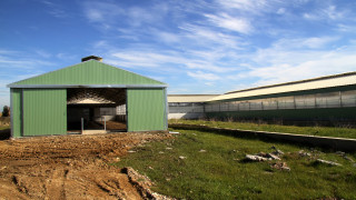 Κιλκίς: Θύμα συμμορίας που πήγε να ληστέψει τον 54χρονο το θύμα - 3 συλλήψεις