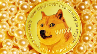 Πέθανε ο πιο viral σκύλος του Ίντερνετ - Το πρόσωπό του ήταν το πιο γνωστό meme