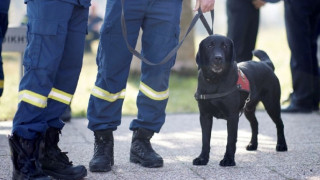 Θεσσαλονίκη: Αίσιο τέλος με την εξαφάνιση 8χρονης σε σχολική εκδρομή