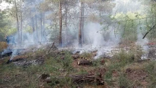 Φωτιά σε Πέλλα και Αγρίνιο-Ποια η κατάσταση που επικρατεί