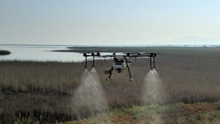 Θεσσαλονίκη: Εναέριοι ψεκασμοί για την καταπολέμηση των κουνουπιών