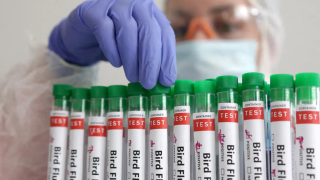 Επιβεβαιώθηκε ο πρώτος νεκρός από γρίπη των πτηνών H5N2