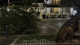 Βέροια: Κακοκαιρία-εξπρές «βραχυκύκλωσε» την πόλη- Έπεσαν δέντρα και κολόνες (vid)