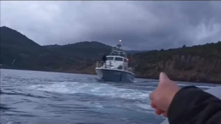 BBC: Αποκαλύψεις-σοκ για 43 θανάτους στην Ελλάδα από επαναπροωθήσεις