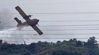 Φωτιά στη Ναυπακτία: Παρ' ολίγον τραγωδία με Canadair που προσέκρουσε σε δέντρο (vid)