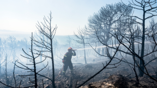 Πυρκαγιά σε Ασπρόπυργο και Πάρνηθα: Μήνυμα του 112-Εκκένωση του οικισμού «Νέα Ζωή»