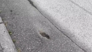 Θεσσαλονίκη: Γυναίκα έσπασε το πόδι της, όταν ξαφνικά άνοιξε τρύπα στον δρόμο