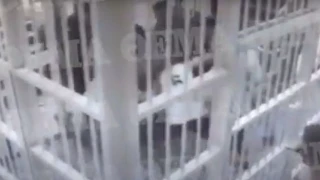 Φυλακές Κορυδαλλού: Βίντεο-ντοκουμέντο από τη δολοφονία του 35χρονου