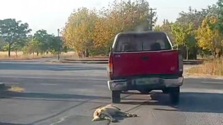 Βέροια: Συνελήφθη ο οδηγός που έσερνε σκύλο με αγροτικό