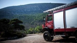 Αυξημένος κίνδυνος πυρκαγιάς σε Θεσσαλονίκη και Χαλκιδική-Οι οδηγίες της Πυροσβεστικής