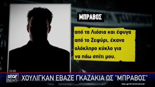 Το «βαθύ λαρύγγι» για τη σύνδεση μπράβων-χούλιγκανς-Τα ανώνυμα τηλεφωνήματα (vid)