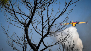 Μεγάλη πυρκαγιά στον Ωρωπό - Ήχησε το «112»