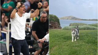 Γιαννακόπουλος: Βρέθηκε ο γάτος του «Φρι»