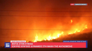 Φωτιά στην Εύβοια: Συνεχίζεται η μάχη με τα μέτωπα της πυρκαγιάς με ανέμους έως 8 μποφόρ