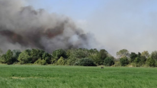 Κιλκίς: Σε εξέλιξη φωτιά στις Μουριές – Στη μάχη δύο αεροσκάφη και ελικόπτερο (video)