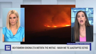 Πυρκαγιές στην Αττική: «Στάχτη» τουλάχιστον 100.000 στρέμματα, δεκάδες σπίτια και επιχειρήσεις