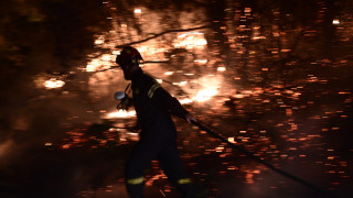 Πυρκαγιά στη Γλυφάδα: Κυνικοί οι ανήλικοι συλληφθέντες - «Βάλαμε τη φωτιά για παιχνίδι»