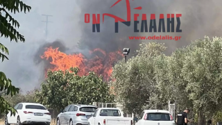 Πυρκαγιά στο Λιτόχωρο - Σηκώθηκαν αεροσκάφη και ελικόπτερο