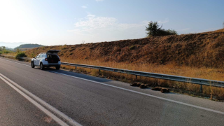 Φλώρινα: Δύο αρκουδάκια νεκρά σε τροχαίο - Η μαμά τους αρνιόταν να φύγει από το σημείο
