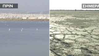 Θεσσαλονίκη: Ξεράθηκε η λιμνοθάλασσα του Καλοχωρίου! (vid)