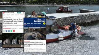 Βόλος: Διεθνής κατακραυγή για την περιβαλλοντική καταστροφή στον Παγασητικό