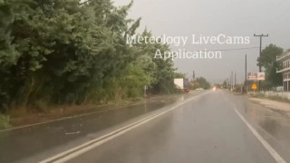 Θεσσαλονίκη: Πτώσεις δέντρων λόγω της κακοκαιρίας (vid)