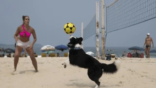 Ρίο Ντε Τζανέιρο: Ποιος είναι ο σκύλος που διδάσκει footvolley στις παραλίες (vid)