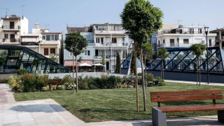 Αδιανόητο! «Ράντισαν» με υδροκυάνιο στύλους της ΔΕΗ για να εξοντώσουν αδέσποτα ζώα!