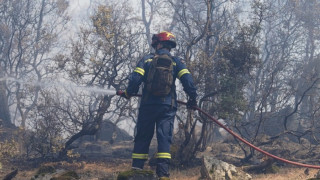 Χαλκιδική: Φωτιά σε αγροτοδασική έκταση στη Συκιά