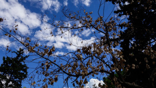 Καιρός: Έρχονται επικίνδυνα καιρικά φαινόμενα - Πού προβλέπονται καταιγίδες και χαλάζι