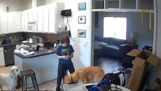 ΗΠΑ: Έφηβη δολοφονεί τη μητέρα της και στέλνει αμέριμνη SMS από την κουζίνα του σπιτιού της