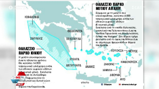 Τουρκία: Υπεγράφη η συνθήκη για την προστασία της θαλάσσιας βιοποικιλότητας - Η σημασία της για την Ελλάδα