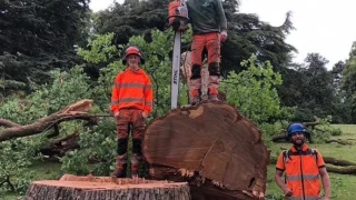 Γκάρι Λίνεκερ: Σκοτώθηκε ο ανιψιός του- Τον καταπλάκωσε κορμός δέντρου!