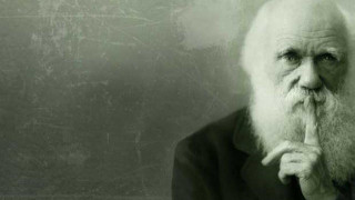   Τα πάντα ρει…     Ευτυχώς     για την   ΠΑΕ ΠΑΟΚ!