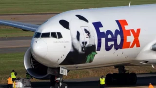 ΗΠΑ: Με ειδική πτήση έφτασαν τα δύο κινέζικα πάντα «διπλωμάτες»