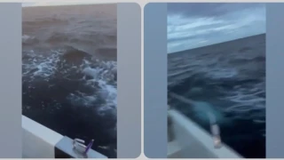 Η τρομακτική στιγμή που ψαράδες συνάντησαν επικίνδυνες φάλαινες