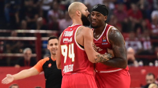 Τα... γούρικα γατάκια της ΚΑΕ Ολυμπιακός