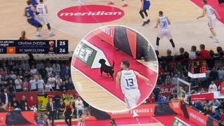 Σκύλος μπήκε στο γήπεδο κατά τη διάρκεια αγώνα της Euroleague